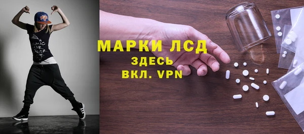 ПСИЛОЦИБИНОВЫЕ ГРИБЫ Осинники