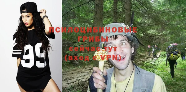 прущая мука Пересвет