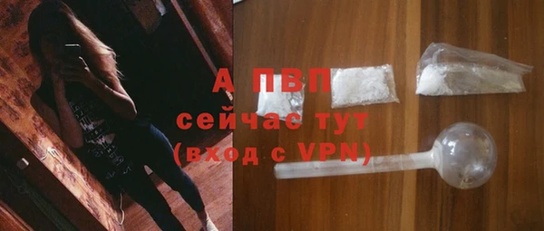 прущая мука Пересвет