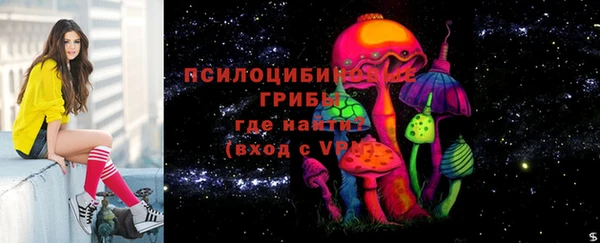 винт Горно-Алтайск