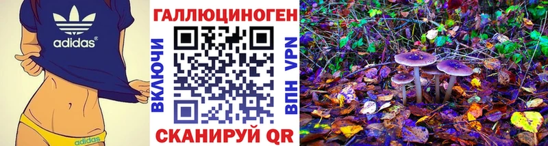 наркошоп  МЕГА ссылки  Псилоцибиновые грибы Psilocybine cubensis  Ардон 